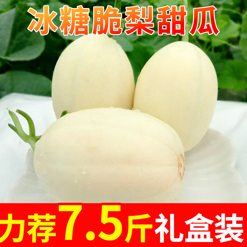 海南冰糖脆梨甜瓜原产地应当季新鲜时令水果白皮甜瓜香甜多汁美味,水产肉类/新鲜蔬果/熟食,甜瓜,淘宝优惠券,粉丝福利购,淘宝优惠卷