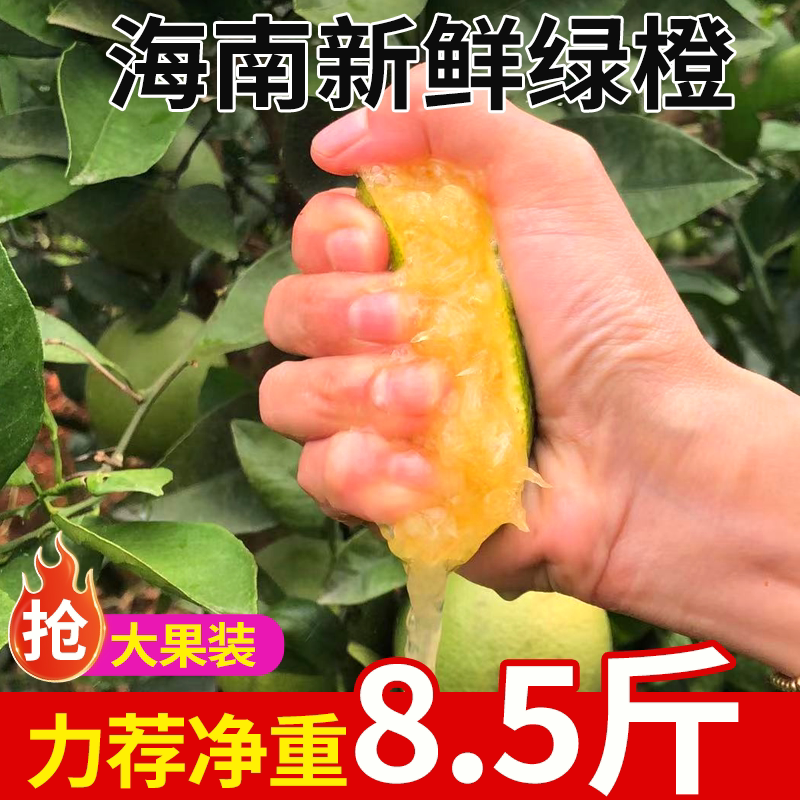 海南绿橙原产地应当季新鲜水果