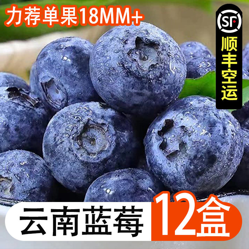 云南蓝莓新鲜时令水果现摘