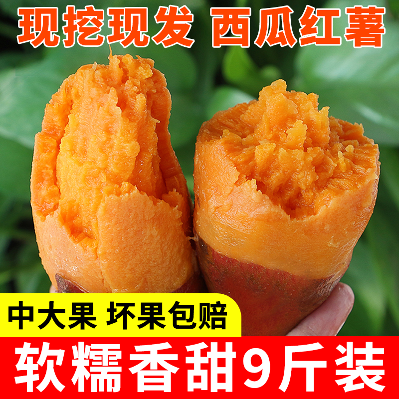 正宗广西西瓜红薯原产地园地应当季新鲜软糯现挖产地整箱打包速发