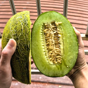 海南倾帝蜜瓜原产地应当季新鲜时令水果青帝网纹瓜脆甜哈密瓜现发