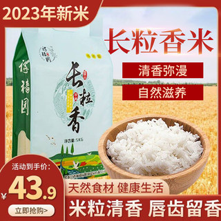 2023年新米上市长粒香大米5kg真空米砖正宗黑龙江特产10斤装包邮