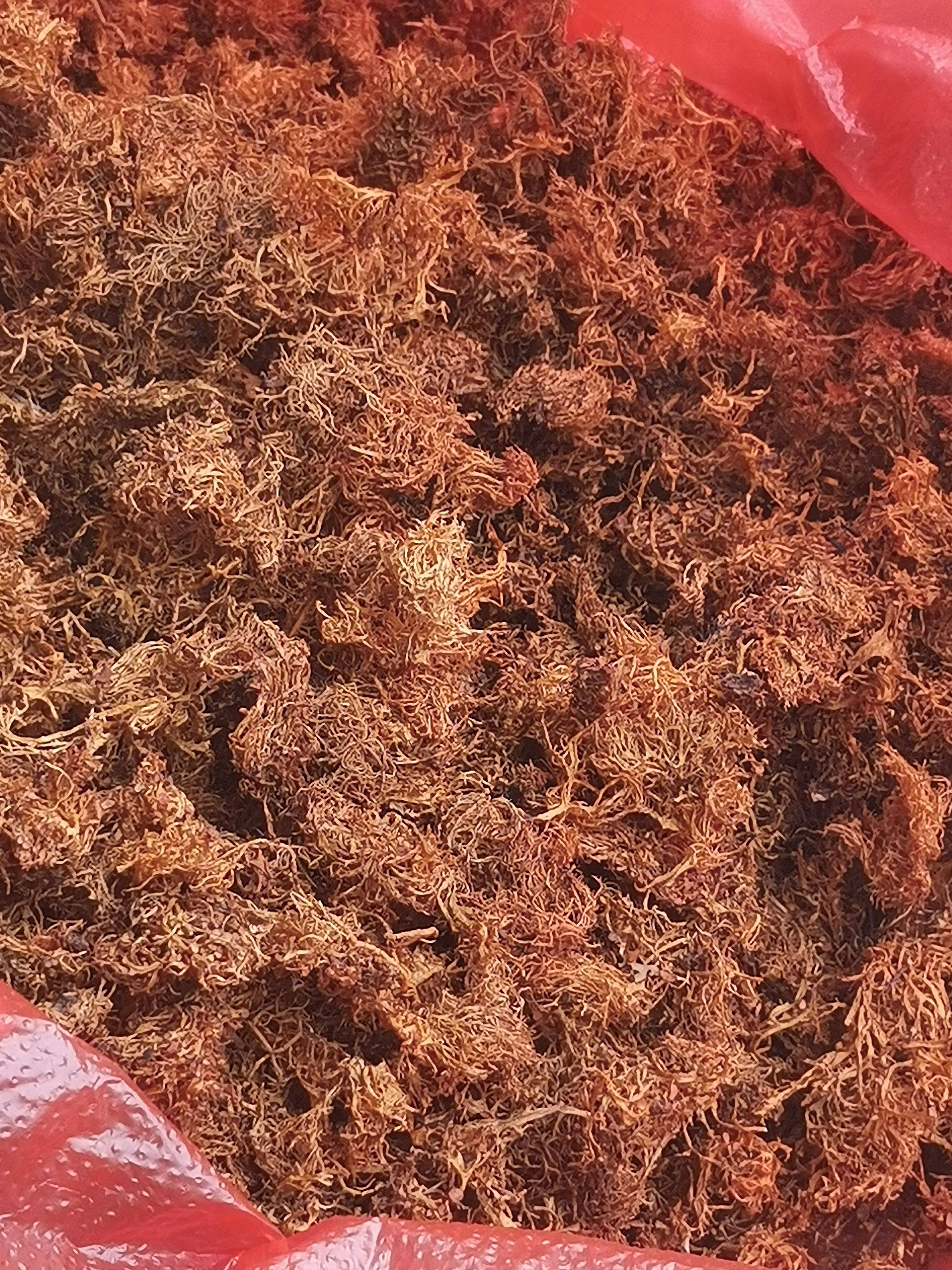 野生树红毛树花云南特产干树花干货特色凉拌下饭菜餐桌上的美味