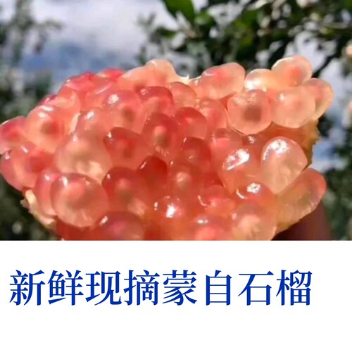 【30年老树】 新鲜现摘硬籽浅红石榴 蒙自农家直接发硬籽酸甜多汁