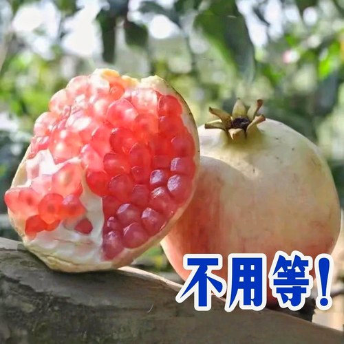 【果园直发硬籽石榴】新鲜现摘云南蒙自直发硬籽老树甜石榴籽浅红