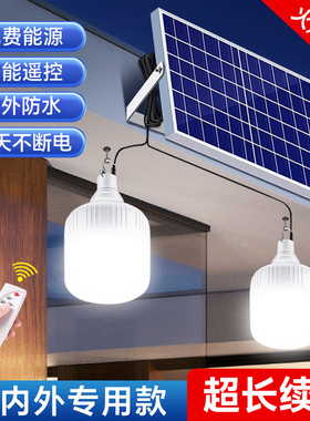 太阳能庭院路灯家用农村室内外照明灯泡充电一拖二分体式2025新款