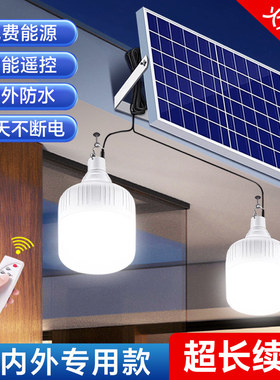 一拖二太阳能充电灯泡2026新款