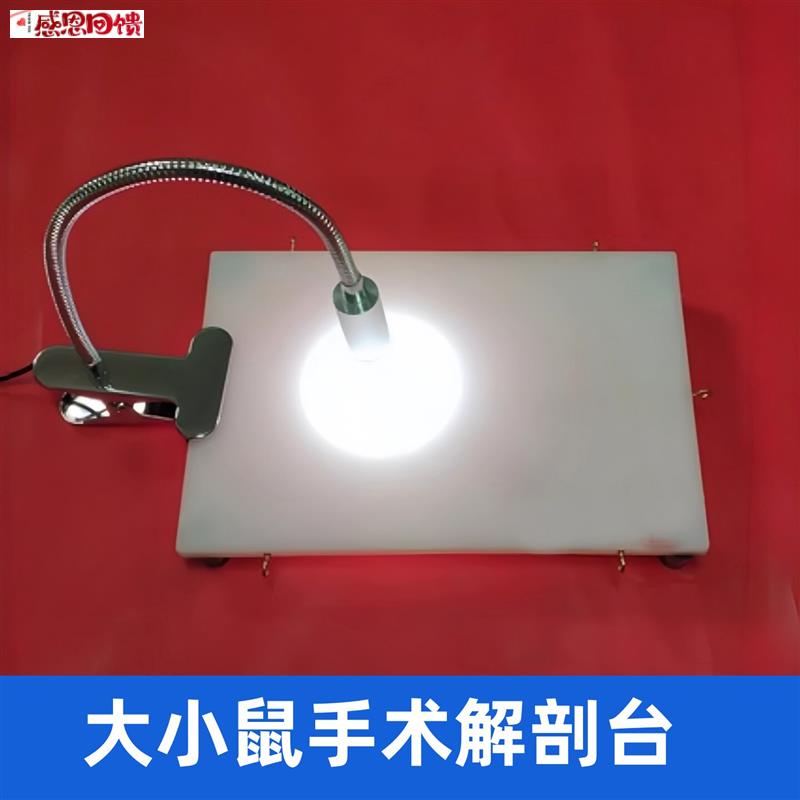 小鼠解剖台大鼠解剖固定台实s验小动物解剖板手术台灯恒温加热