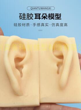 真人大小仿真耳朵m模型耳模型硅胶耳朵模型针灸耳朵模型硅胶耳