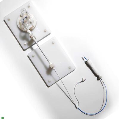 ENOVO颐诺人体右n心室介入训练台心血管微创介入训练模型电生理介