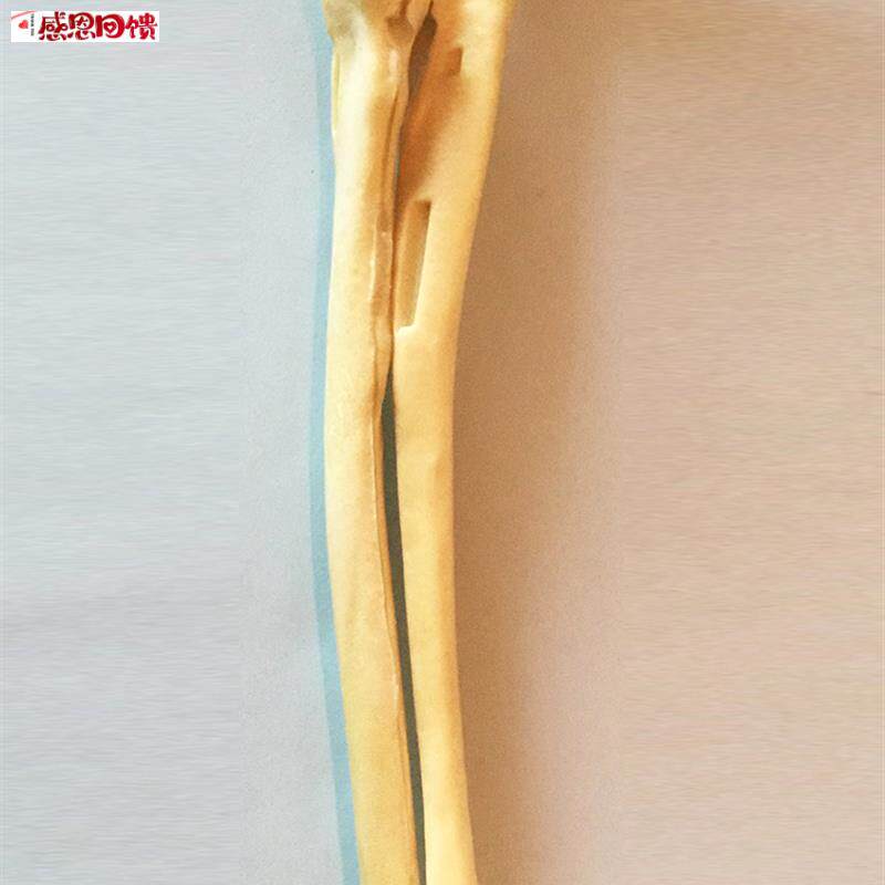 手术练习仿真骨狗尺骨桡骨骨科狗骨架s动物骨骼犬科宠物厂家兽