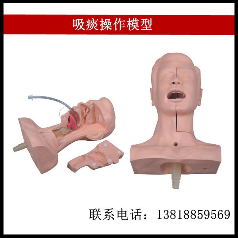 高级吸痰练习g模型 气管插入吸引练习头部局部模型 厂家直销