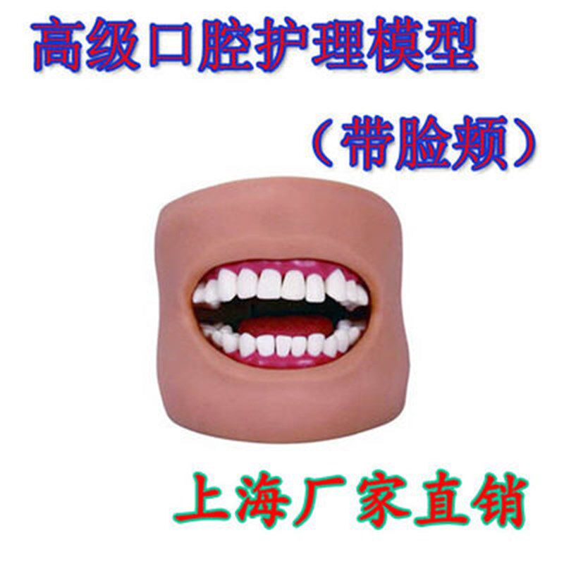 口腔清洁模型 保健模型 口w腔牙护理 口腔清洁模型(带脸颊)