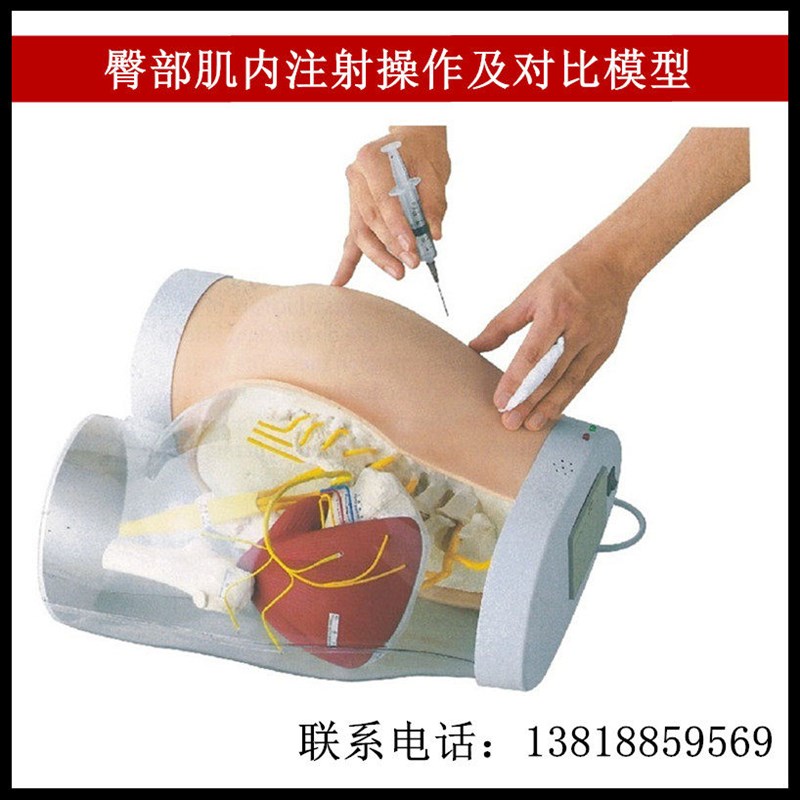 臀部肌内注射操作及y对比模型(带电子监测)