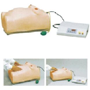 高级电脑孕妇检查l模型怀孕检查模型 W2怀孕检 妇科检查模型ZH