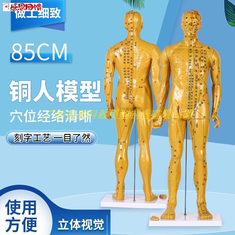 85cm超清晰经络通针灸铜S人体穴位模型中医针灸人体模型十二经络