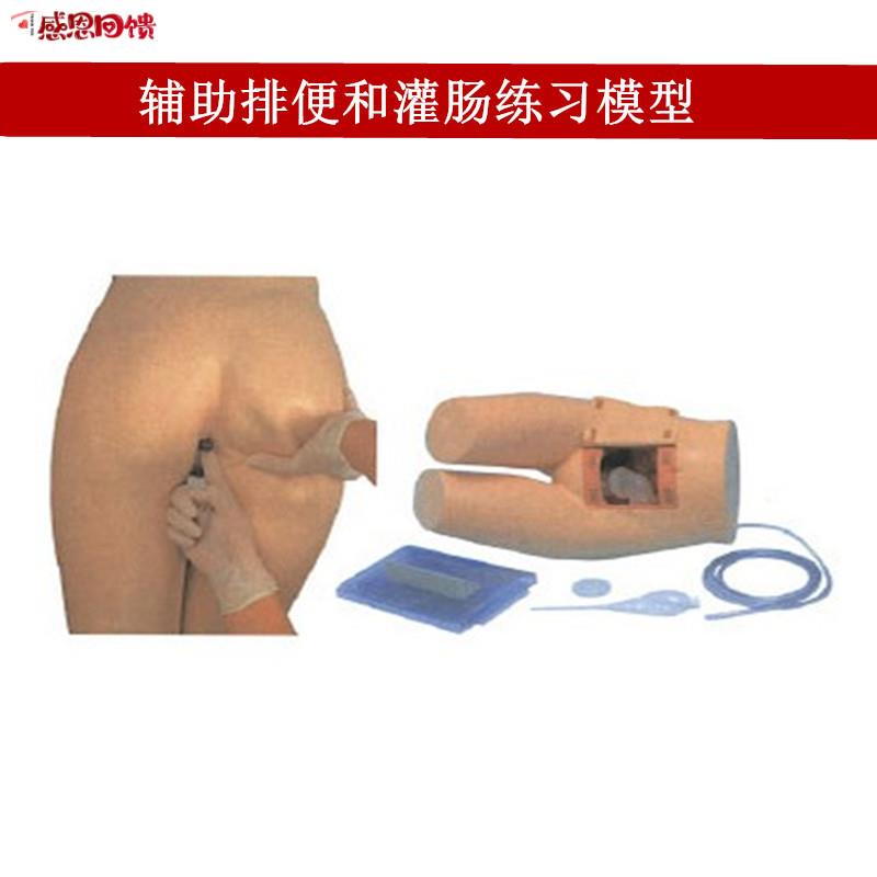 辅助排便和灌肠练习模型医院培训 护士训练i模型 肛门检查模