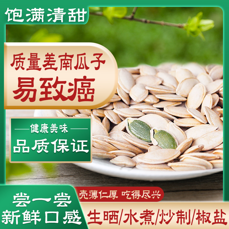 原味盐焗炒熟水煮大片南瓜子新货