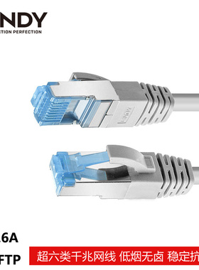 德国LINDY Cat.6a S/FTP工业级交换机双屏蔽跳线低烟无卤千兆网线