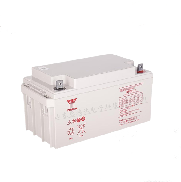 汤浅蓄电池12v65AHNP65-12太阳能光伏电信系统 UPS电源锂电电池
