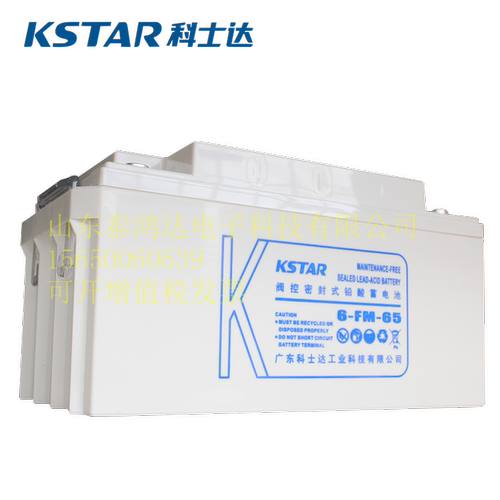 科士达蓄电池6FM-6512V65AH机房原装12V1712V38V12V4012V8012V100
