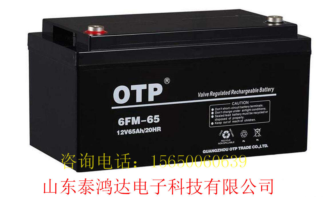 OTP蓄电池6-FM65/12V65AH进口电瓶原装正品现货ups电源汤包邮