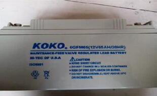 KOKO蓄电池6GFM65可可蓄电池直流屏电源设备电瓶原装 锂电池备用