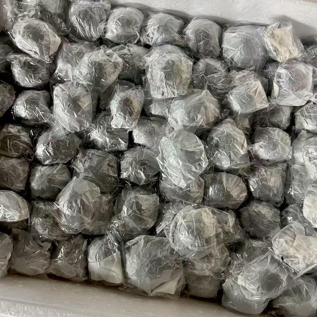 头盔海胆 天然海螺贝壳6米-9厘品左右收标本藏紫色创意摆件.