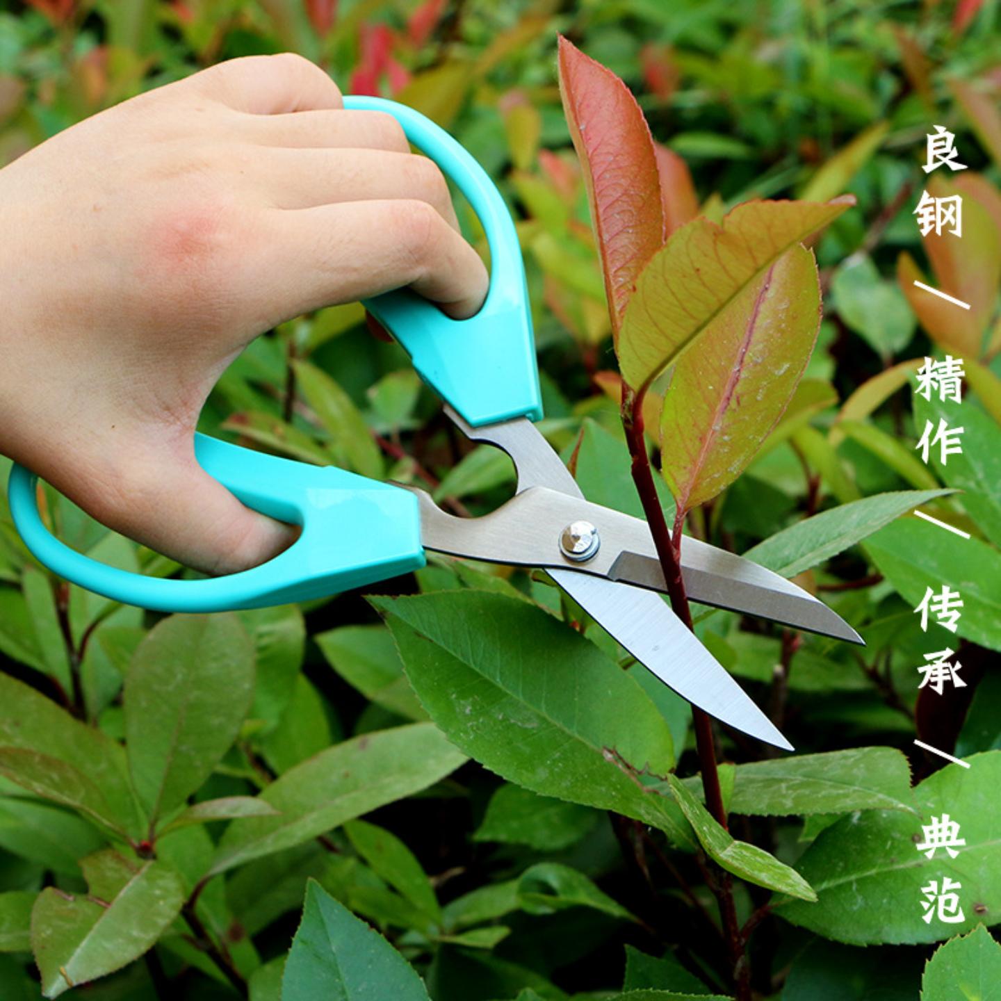 泉欣不锈钢强力家用剪刀花艺