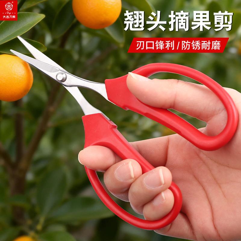 园艺剪大枝刀修枝剪果树园林摘果摘吉葡萄花艺剪子修剪剪树枝佐致
