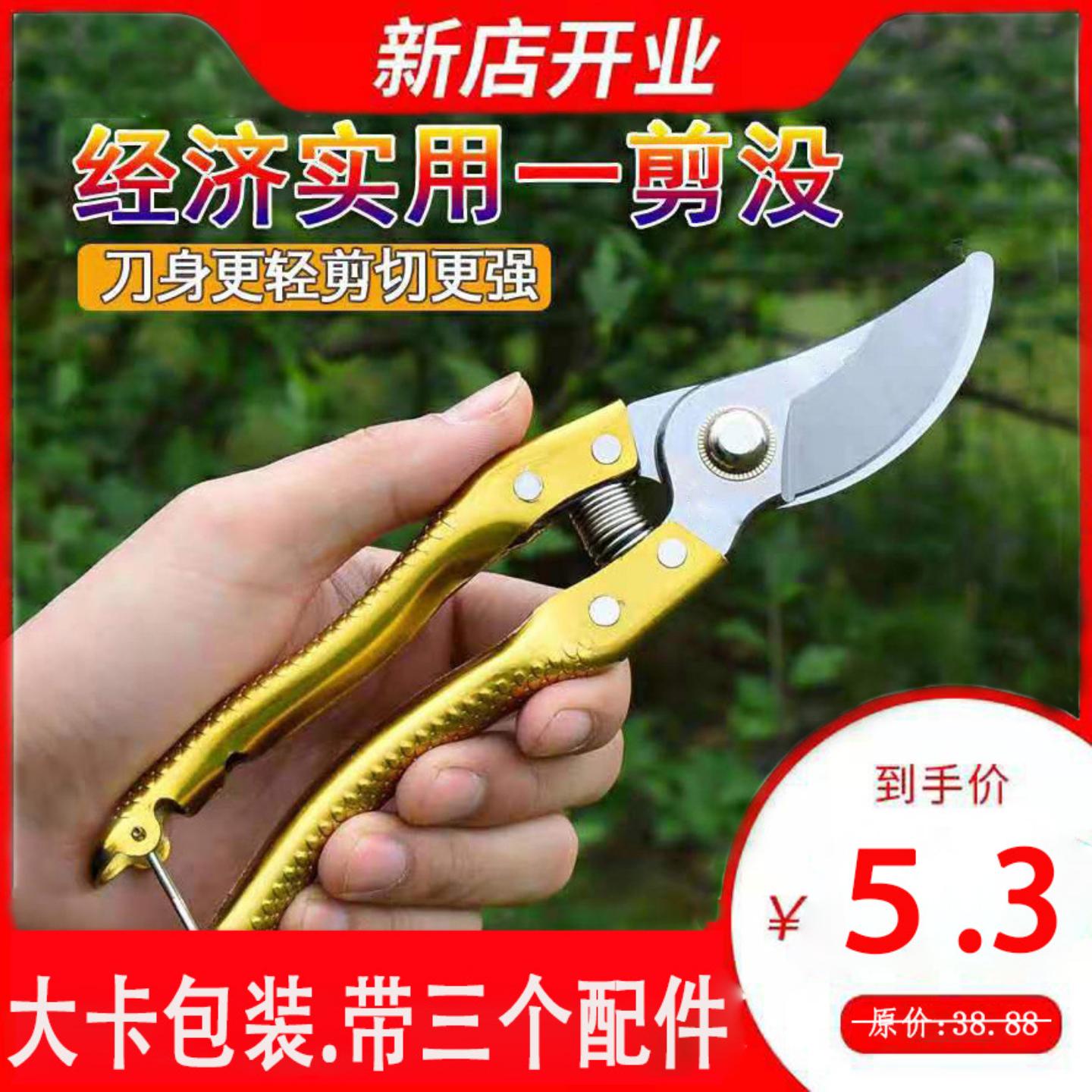 直销SK5果枝剪8寸省力果树修枝剪