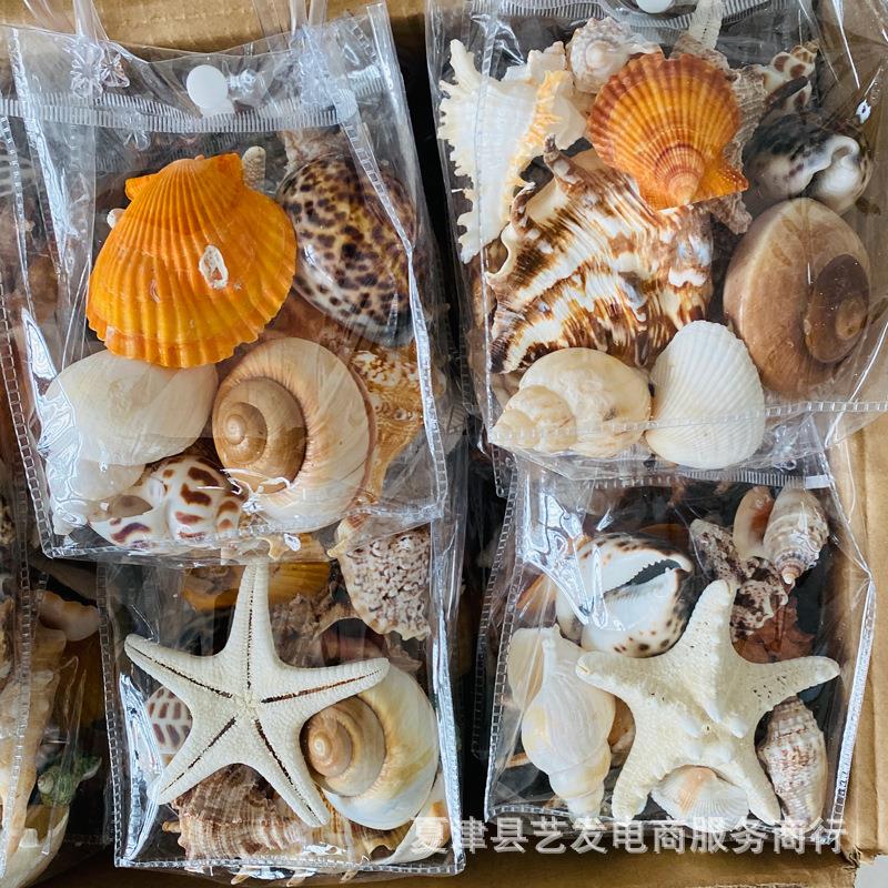 销天然套贝海4654132螺海星装鱼缸造景材料包景区地摊热纪念品壳