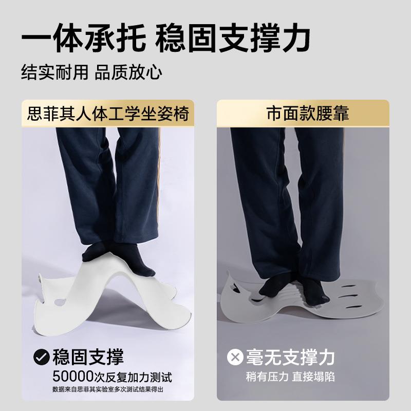 菲思其人体工学坐体垫大护腰坐垫男士办公重久护腰坐垫坐不累腰靠