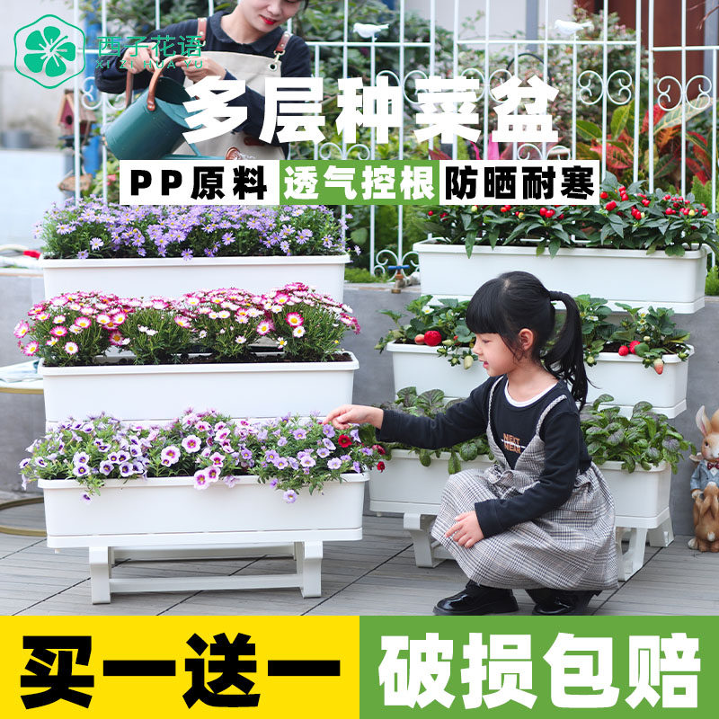 阳台种菜专用盆室内花架家庭蔬菜种植箱草莓专用花盆家用顶楼神器