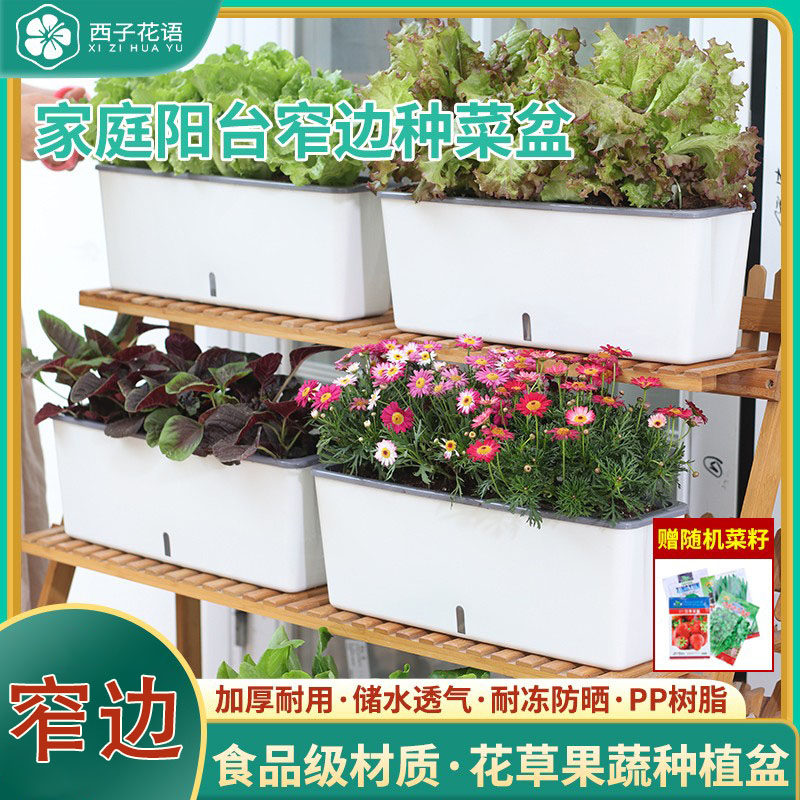 家庭阳台窄边种菜专用箱长方形窗台种植盆吸水花盆盆栽懒人种菜盆,鲜花速递/花卉仿真/绿植园艺,花盆,淘宝优惠券,粉丝福利购,淘宝优惠卷