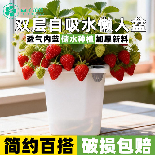 正方形花盆办公桌自吸水懒人花盆