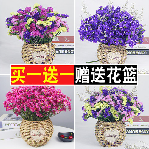 勿忘我干花真花装饰摆件批发