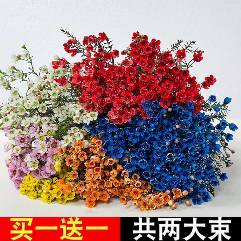 鲜花云南基地直发红粉色插水养冬季耐寒鲜切花同城速递百合花腊梅