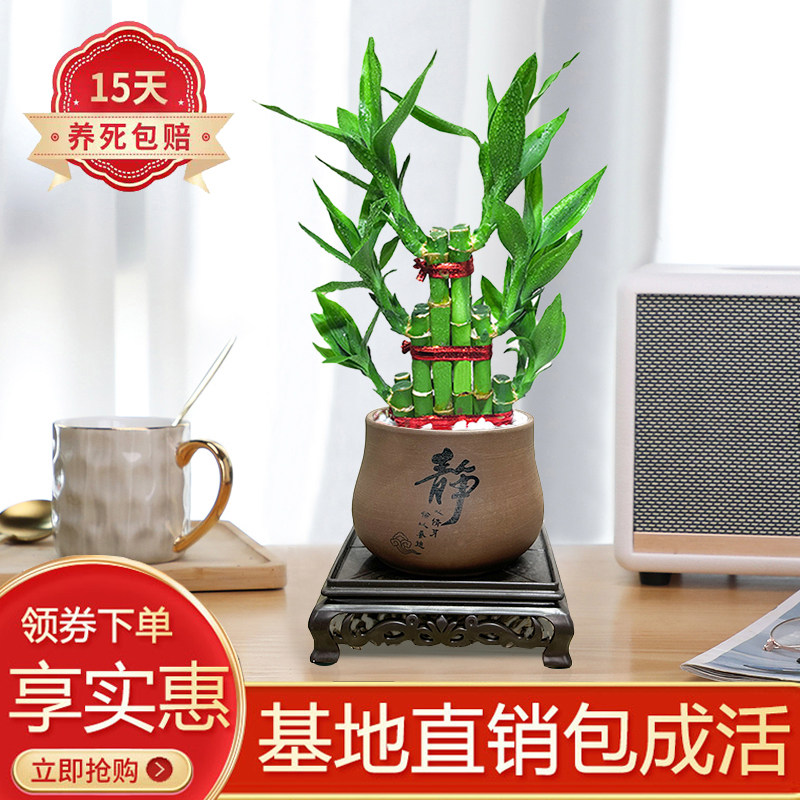 步步高书房客厅净化空气懒人好养