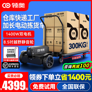 领奥电动快递拣货仓库平衡车
