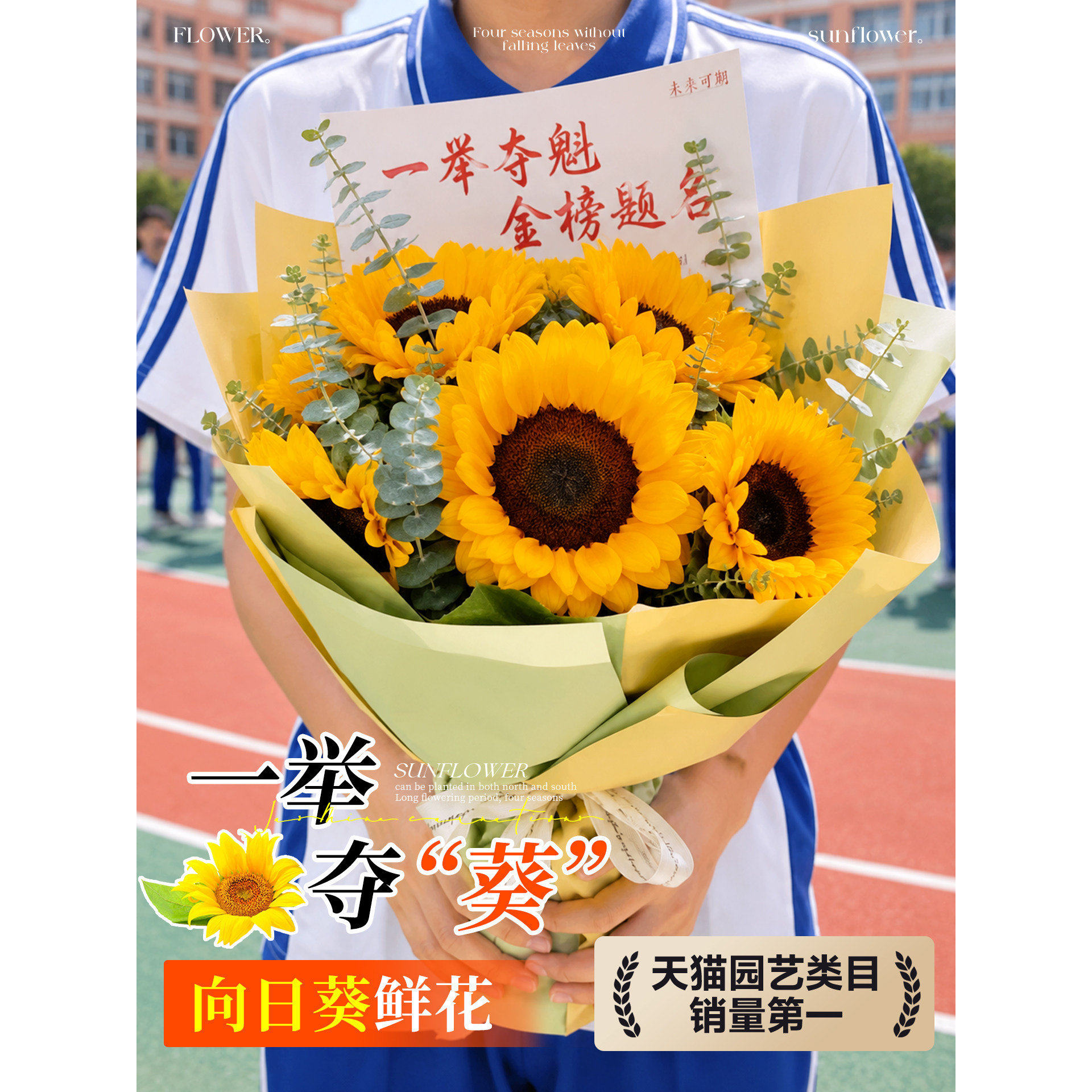 一举夺魁向日葵鲜花云南基地直发大号水培新鲜切花泰迪真花束重瓣