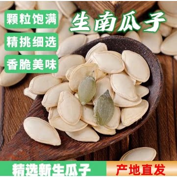 新鲜生南瓜子新货带壳新鲜南瓜子散装颗粒中大片生原味货