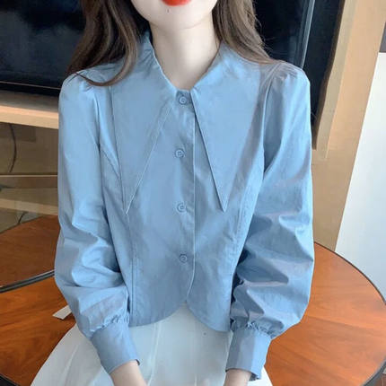 2023秋季新款时尚别致尖领短款上衣女设计感小众时髦洋气长袖衬衫