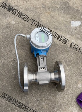 现货 实物照片 恩德斯豪斯 E+H PROWIRL 72F5