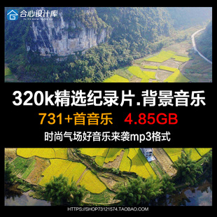 mp3音频文件时事政论历史传记大气豪迈专题纪录片纯音乐背景歌单