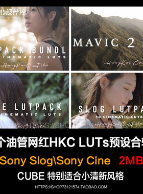 24个油管网红HKC小清新索尼LUT预设合辑包 Slog索尼Vlog pr fcpx