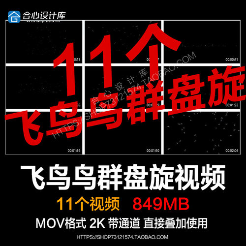 pr视频素材小鸟飞鸟飞行鸟群盘旋mov动画alpha透明通道ae剪辑合成