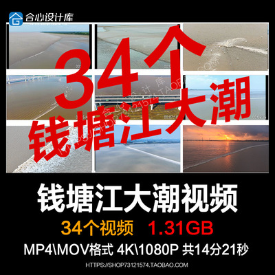杭州大江东钱江潮潮头鱼渔民捕鱼钱塘江大潮一线潮实拍视频素材