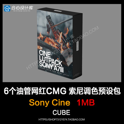 6个油管网红CMG A7m3/a6300 a6500索尼CINE LUT电影级调色滤镜包