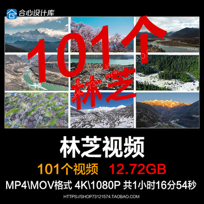 西藏林芝桃花风景南迦巴瓦峰雪山风光雅鲁藏布江实拍视频素材